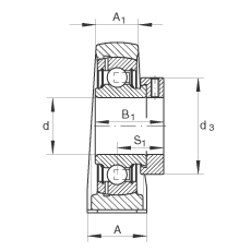 直立式軸承座單元 PASE60-N-FA125, 鑄鐵軸承座，帶偏心鎖圈的外球面球軸承，P 型密封，耐腐蝕保護